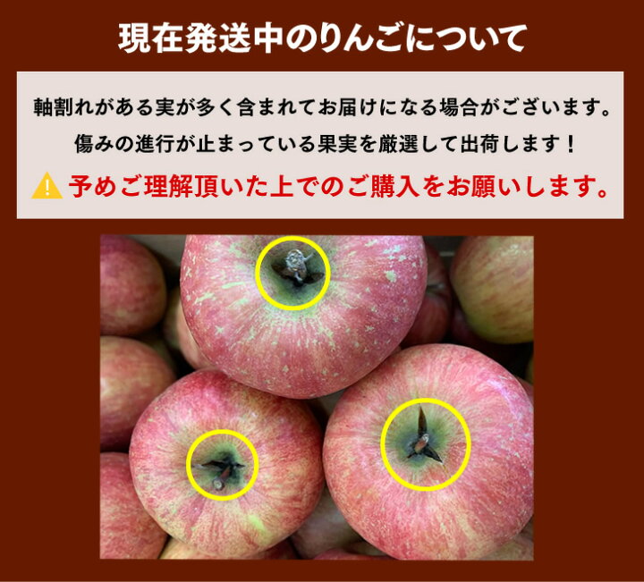 楽天市場】りんご 訳あり 10kg 送料無料 青森県産 サンふじ 約10kg玉数
