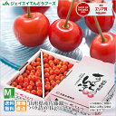 予約商品 さくらんぼ 佐藤錦 ご家庭用 約1kg バラ詰め 送料無料 一部地域は別途送料追加 rc01