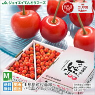 予約商品 さくらんぼ 佐藤錦 ご家庭用 約1kg バラ詰め 送料無料 一部地域は別途送料追加 rc01