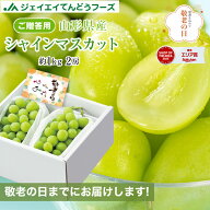 敬老の日 ギフト ぶどう 秀品 山形県産 シャインマスカット 2房(約500g×2) 送料無料 メッセージカード付き