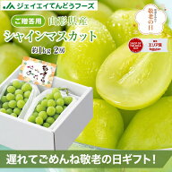 遅れてごめんね敬老の日 ギフト ぶどう 秀品 山形県産 シャインマスカット 2房(約500g×2) 送料無料 メッ…