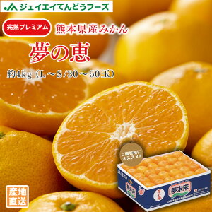 F{Y Ïnv~A ݂ ̌b 4kgi30`50ʁ^L`Sj JAuh B݂ 11{`12{菇o