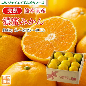 F{Y nZ݂ 4kgi25`40ʁ^L`Mj 11{`{菇o