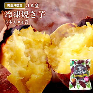 ⓀĂ Ă Vct 13{×4 Ⓚ ꕔn͕ʓr