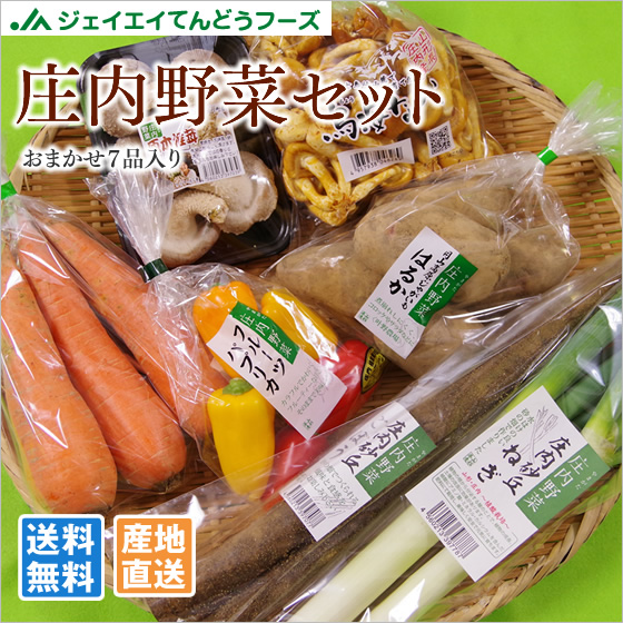 庄内野菜セット(おまかせ7品)  産地直送 送料無料※一部地域を除く