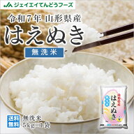 令和7年産 山形県産はえぬき無洗米5kg 送料無料※一部地域は別途送料追加 【キャンセル・着日指定不可】r…