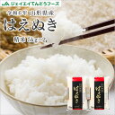 【キャンセル不可・着日指定不可】令和6年産 お米 10kg 山形県産 はえぬき 精米 10kg（5kg×2袋）単一原料米【6月16日…