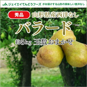 yGizR`Ymo[h5kg(ʐ܂)yzꕔn͕ʓrǉ