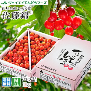 【早期予約★クール便】 さくらんぼ 佐藤錦 ご家庭用 約1kg バラ詰め 送料無料 一部地域は別途送料追加 rc01