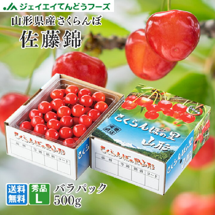 楽天市場】さくらんぼ 送料無料 ギフト 山形 佐藤錦500gバラパック L玉 
