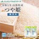 米 令和5年 山形県産つや姫無洗米 10kg(5kg×2) 送料無料※一部地域は別途送料追加 rtm1005