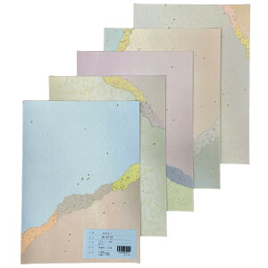    ȁy ݂сz5FZbg ׎p 50 