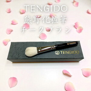 TENGIDOF쉻ϕM@`[NuV FM { `[N CNuV FMuh}[N ׌100