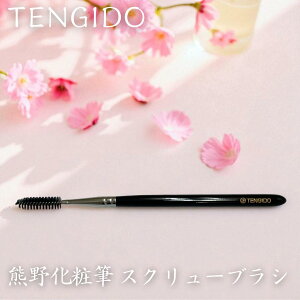 TENGIDO F쉻ϕM XN[uV uV FM {  ʖ CNuV FMuh}[N