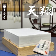 天義堂 書道 【書道用紙 半紙 天翔 】 漢字 習字 練習用 清書用 書きやすい 滲み少ない 破れにくい 小学…
