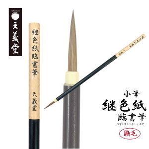 V`  M y pFՏM z וM  ՏM ÕM l S҂łg₷ C^` ׎  A