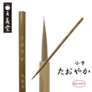 M וMyM ₩z   RXL[ ꌖ C^` ɍ ÓT Տp ʑM