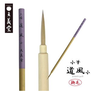 V`  M y O   z p וM C^` lC̖ʑ^Cv l S Fp M ꌖ