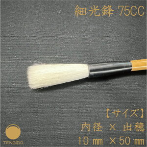 y50OFFzrяM@׌N@75CC