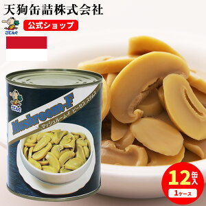 }bV[F ʋl ChlVAY s[ZX 2 Ō`450 1/12