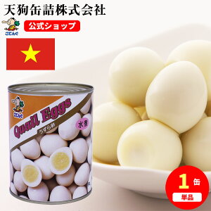 ̗ ʋl xgiY 2 1ʖ50-60 1/12ʂ痑