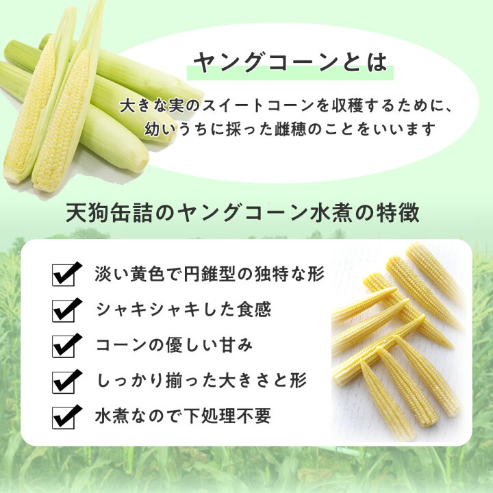 楽天市場 ヤングコーン水煮 缶詰 タイ産 ホールm 3号缶 個数約25 32本 バラ 0 7kg 給食 業務用食材 の天狗缶詰 常温長期保存 業務用e缶詰屋こてんぐ 天狗缶詰