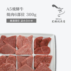 A5 ˋ ē300gy6ʃZbgz IWiϔ ①z ƗpEp lΉ zBw