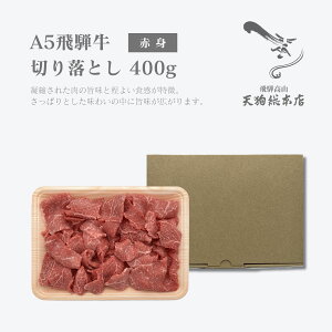 A5 ˋ ؂藎Ƃ400gy~EԐgz I\ A5N    Mtg  ~ Ԑg  Mtg 6000~ȉ Ε Ε NX}X NNn  