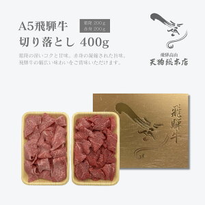 A5 ˋ ؂藎Ƃ400gy~EԐgz I\ A5N    Mtg  ~ Ԑg  Mtg 6000~ȉ Ε Ε NX}X NNn  