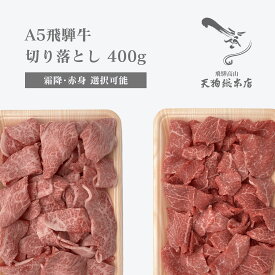 A5 飛騨牛 切り落とし400g【霜降・赤身】 選択可能 A5ランク 肉 牛肉 高級肉 ギフト お肉 霜降り肉 赤身肉 美味しい肉 肉ギフト 6000円以下 お歳暮 御歳暮 クリスマス 年末年始 ごちそう お取り寄せ 年末 年始 化粧箱 冷蔵配送 自家用・贈答用 熨斗対応 配達日時指定可