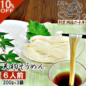 そうめん 父の日 素麺 にゅうめん 天狗そうめん お試し 6人前セット 3袋 保存食 備蓄 非常食 ギフト プレゼント 贈答 山形 天童 山本製麺 お祝い 内祝い 誕生日 引っ越し ご挨拶 乾麺 お取り寄せ 送料無料