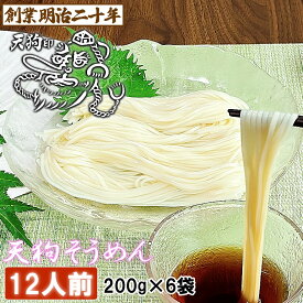 【愛されて130余年】そうめん 素麺 お土産 にゅうめん 天狗そうめん お試し 12人前セット 6袋 保存食 防寒 備蓄 非常食 ギフト プレゼント 贈答 山形 天童 山本製麺 お祝い 内祝い 誕生日 引っ越し ご挨拶 乾麺 お取り寄せ 送料無料