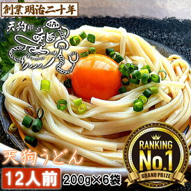 【愛されて130余年】うどん 天狗うどん お試し 12人前セット 6袋 保存食 備蓄 非常食 お土産 鍋焼き ひっぱりうどん 釜揚げうどん きつねうどん 防寒 国内製造 ギフト プレゼント 贈答 山形 天童 山本製麺 お祝い 内祝い 誕生日 引っ越し ご挨拶 乾麺 送料無料