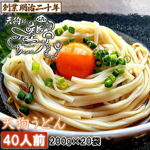 【愛されて130余年】うどん 饂飩 天狗うどん 40人前 20袋 お土産 保存食 備蓄 非常食 国内製造 ギフト プレゼント 贈答 山形 天童 山本製麺 お祝い 内祝い 誕生日 引っ越し ご挨拶 乾麺 お取り