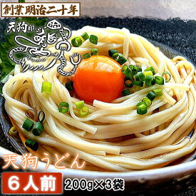 【愛されて130余年】うどん 天狗うどん お試し 6人前セット 3袋 保存食 備蓄 お土産 非常食 鍋焼き ぶっかけ ひっぱりうどん 釜揚げうどん きつねうどん 国内製造 ギフト プレゼント 贈答 山形 天童 山本製麺 お祝い 内祝い 防寒 ご挨拶 乾麺 送料無料