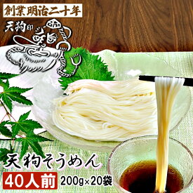 素麺 父の日 そうめん 天狗そうめん 40人前 20袋 保存食 備蓄 非常食 国内製造 ギフト プレゼント 贈答 山形 天童 山本製麺 お祝い 内祝い 誕生日 引っ越し ご挨拶 お取り寄せ 送料無料 非常食 保存食 備蓄