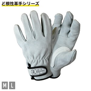 A-2 Ǎɏ_v背CVJ[ Ɨp 쐫 n[h AEghA Xgb`  O[u _炩 Lv  H n PC[N