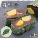 青朴葉 [20枚] 真空パック 朴葉寿司 朴葉味噌 朴葉もち 敷き葉 飾り葉 郷土料理