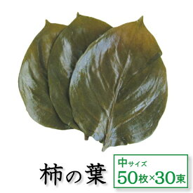 楽天市場 飾り葉の通販