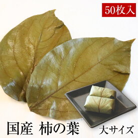 国産 柿の葉塩漬け 大サイズ [50枚] 柿の葉寿司 飾り葉 敷き葉 お寿司 和食 奈良県名物 郷土料理 奈良名物