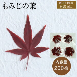 ݂ [200 |Xg3R܂] ^pbN ݂̗t   t gt Ɩp t ~t aH aَq H