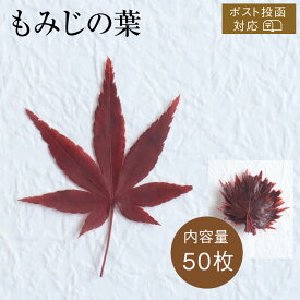 もみじ [50枚 ポスト投函可] 真空パック 紅葉 もみじの葉 料理 飾り 葉 敷き葉 和食 和菓子 秋