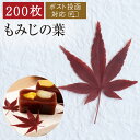 【ポスト投函3コまで】もみじ 200枚 真空パック 紅葉 飾り葉 敷き葉 盛り付け 刺身 お弁当 秋 業務用