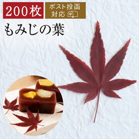 【ポスト投函3コまで】もみじ 200枚 真空パック 紅葉 飾り葉 敷き葉 盛り付け 刺身 お弁当 秋 業務用