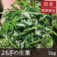国産 よもぎの生葉 [1kg] 最終受付2026年6月3日まで 業務用 農薬不使用 期間限定 手摘み 天然 フレッシュ…