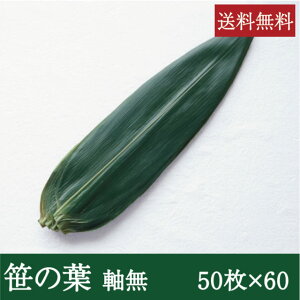 ̗t  [50×60pbN] Ɩp    ~t  aH aَq hg 