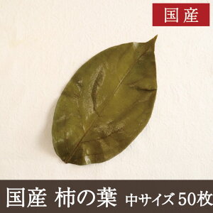 Y `̗tЂ [50] `̗ti t ~t i aH ޗǌ y ޗǖ