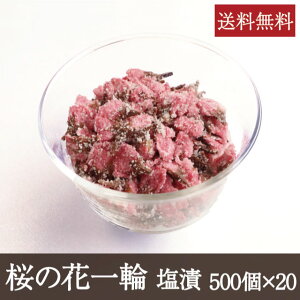 ̉Ԉ  [500×20] Ɩp     gbsO p ͂  P[L aَq aH mَq t