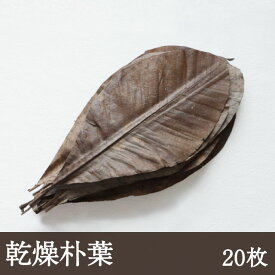 乾燥朴葉 [20枚] 朴葉味噌 朴葉みそ 敷き葉 郷土料理 和食 陶板焼 ほおのは ほおば ほうば ほうのは