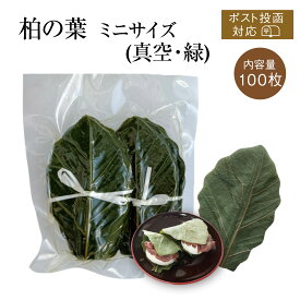ミニ柏葉 （真空・緑） [100枚] ポスト投函4コまで｜緑 柏餅 柏餅の葉 かしわの葉 柏の葉 かしわもち かしわ餅 端午の節句 こどもの日 和菓子 ミニサイズ